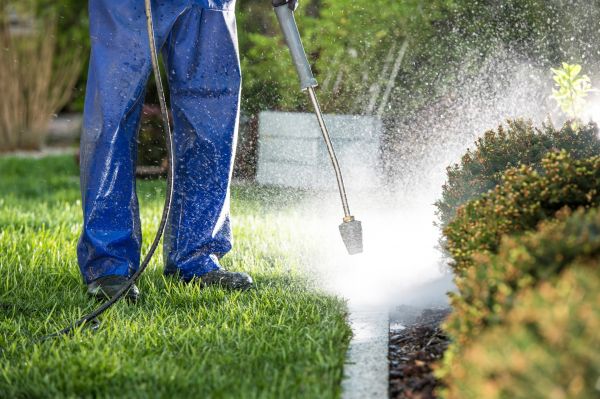 Curb Cleaning in Daytona Beach