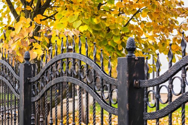 Wrought Iron Fence Washing in Daytona Beach